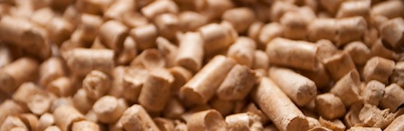 Pellet