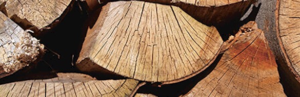 Legno